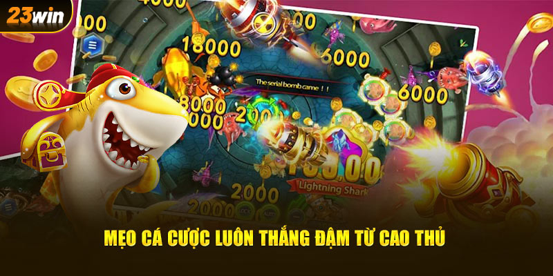 Mẹo cá cược luôn thắng đậm từ cao thủ