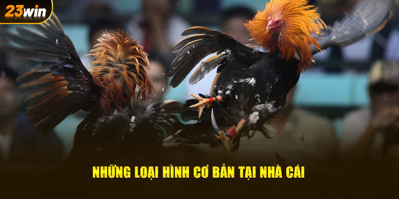 Những loại hình cơ bản tại nhà cái