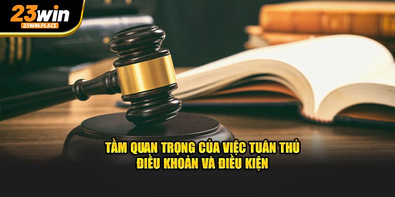 Tầm quan trọng của việc tuân thủ điều kiện và điều khoản 23win